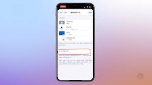 PayPal支付界面