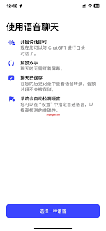 ChatGPT语音对话功能的设置界面