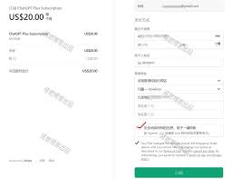ChatGPT Plus登录页面