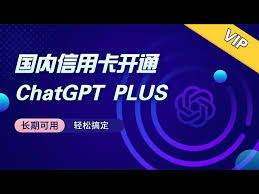 ChatGPT Plus 服务说明