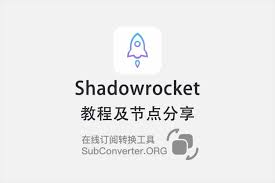 Shadowrocket配置界面