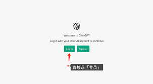 API Key配置示例