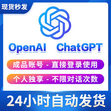 ChatGPT Plus 登录