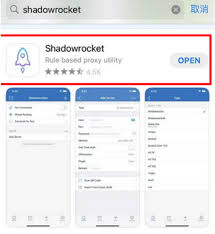 Shadowrocket 添加节点界面