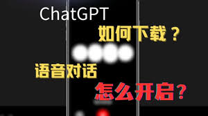 ChatGPT语音对话设置界面