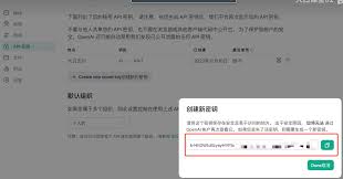API Key 申请流程
