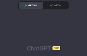 ChatGPT Plus设置界面