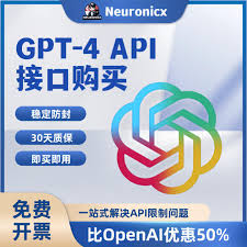 API Key 购买页面截图