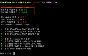 IP 地址被限制的情况