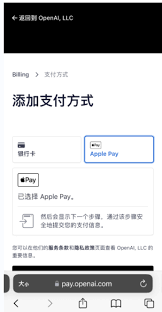 PayPal支付确认页面