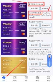 ChatGPT Plus 登录页面