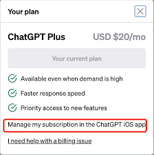 ChatGPT Plus 订阅选项