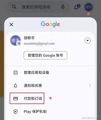 搜索ChatGPT Plus的截图