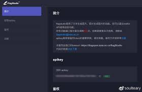 API Key获取页面