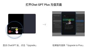 ChatGPT Plus 升级