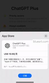 Apple Store上的ChatGPT页面