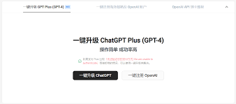 ChatGPT支付信息界面