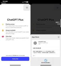 ChatGPT Plus logo和插件界面