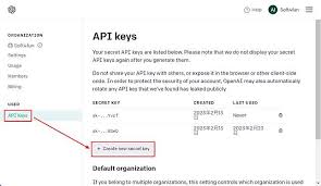 OpenAI API Key