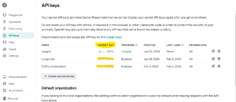 OpenAI API Key