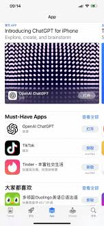 App Store搜索截图