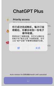 使用虚拟信用卡支付