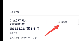 ChatGPT Plus 订阅