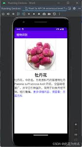 ChatGPT APK 下载与安装步骤图示