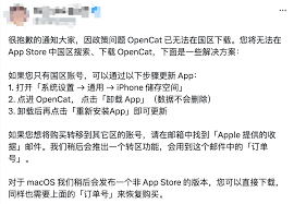 App Store 搜索并下载 ChatGPT 的截图