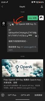 获取API Key的步骤