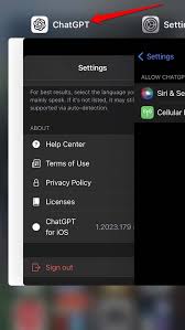 ChatGPT和iOS设备