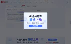 翻译结果示例