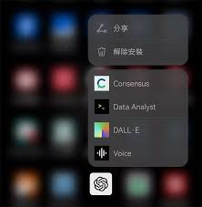 安装完成后的ChatGPT应用