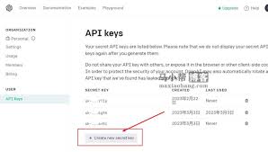 API Key 使用示例