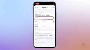 PayPal支付页面