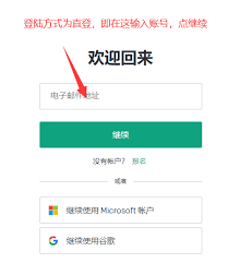 ChatGPT登录界面