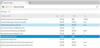 启用TLS 1.2协议