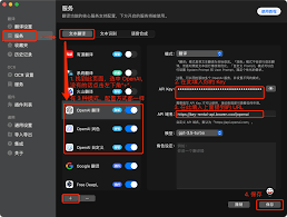 API Key 示例页面