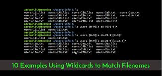 wildcard linux