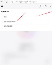 注册 Apple ID 的步骤