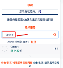 支付页面示意图