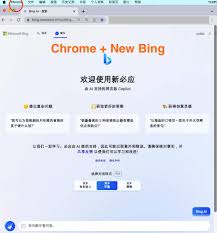 Bing浏览器示例