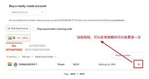 sms-activate.org注册流程