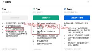 ChatGPT Plus会员