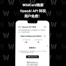 Wildcard 凭证示例