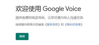 Google Voice验证成功页面