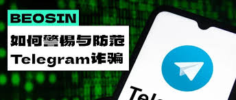 不同地区Telegram会员价格示意图